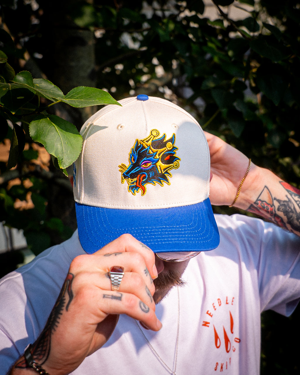 Alpha Snapback